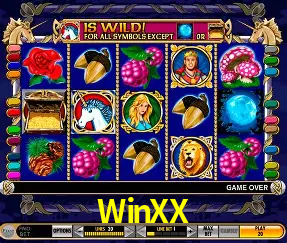 Experimente o Login Seguro Premium no WinXX